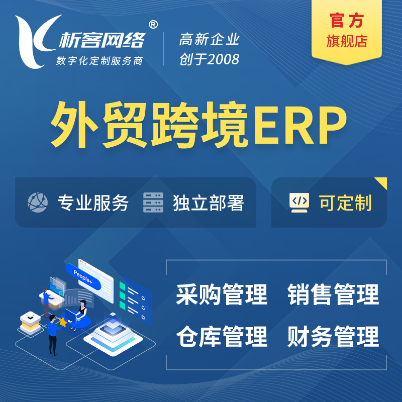 清远外贸跨境ERP软件生产海外仓ERP管理系统